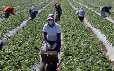 California to Give Assistance to Undocumented Immigrants during Covid-19 Pandemic